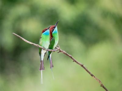 �Α�֦��С���@��  ��β�p�w����������